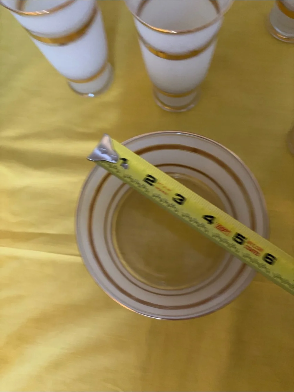 Vintage Gold-Rimmed Frosted Glass Tumbler Set and ice bucket Home Dining